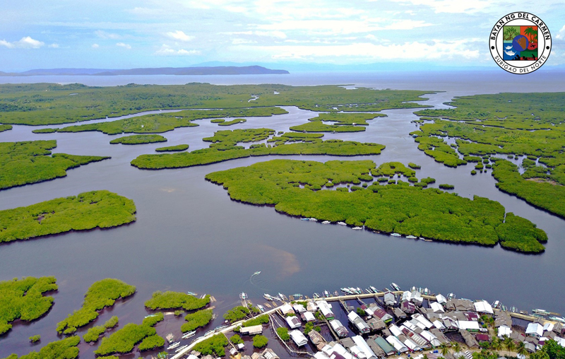 An aerial photo of a mangrove site in Del Carmen, Siargao Islands. Photo credits: Erwin M. Mascariñas