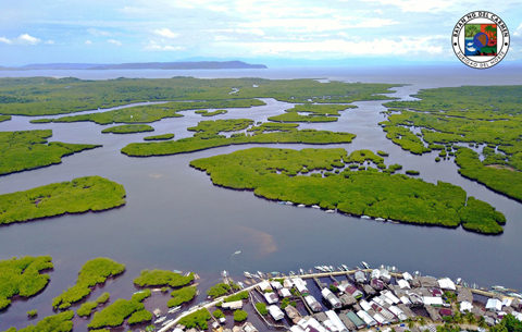 BLICR Program Welcomes Public and Private Sector Fellows to Champion Climate Resilience