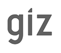 giz logo